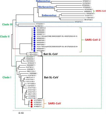 SARS-CoV-2: Emergence of New Variants and Effectiveness of Vaccines